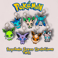 Pokemon Anahtarlık Paketi
