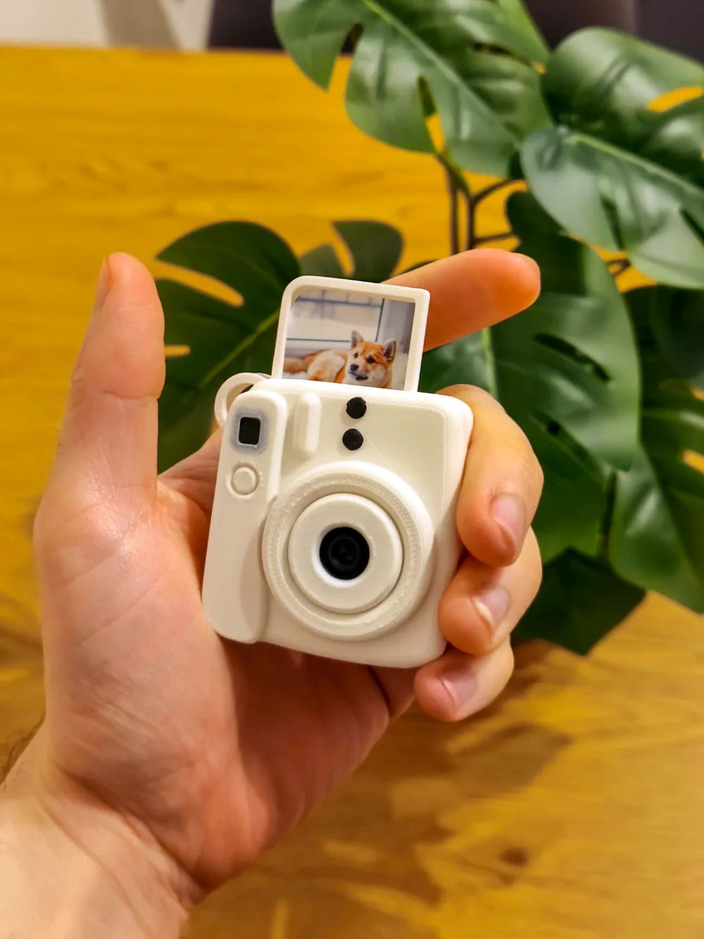 Mini Instax 12 Fidget/Anahtarlık