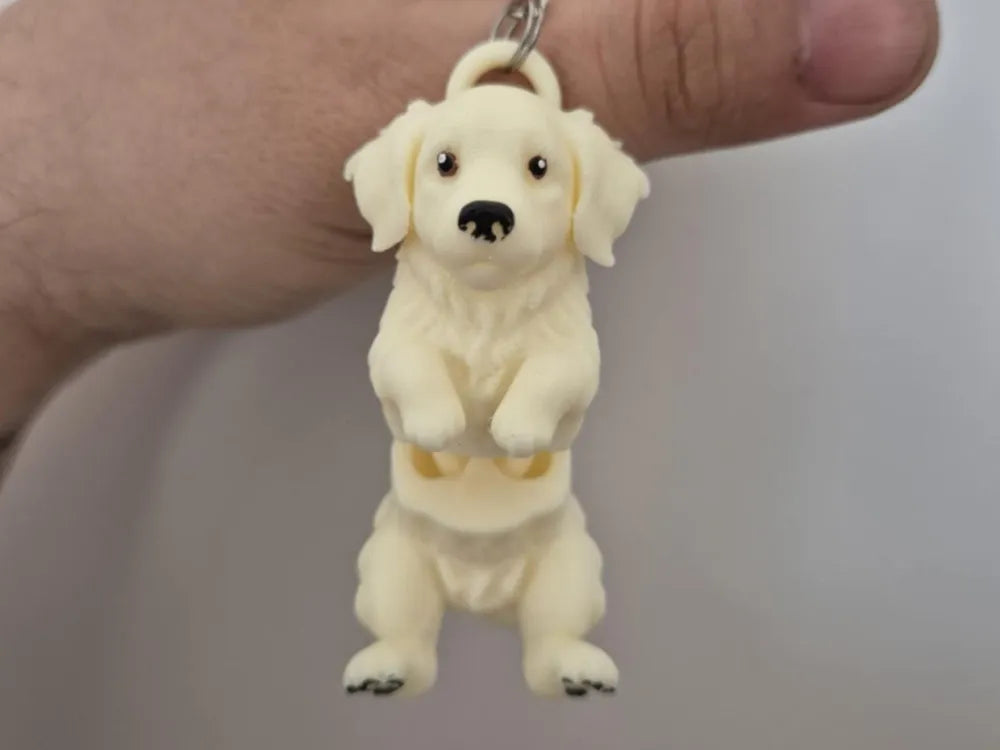 Golden Retriever Anahtarlık – Mafsallı evcil hayvan dostu