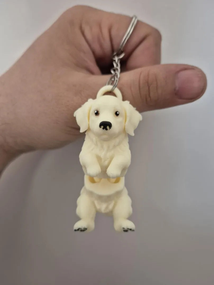 Golden Retriever Anahtarlık – Mafsallı evcil hayvan dostu