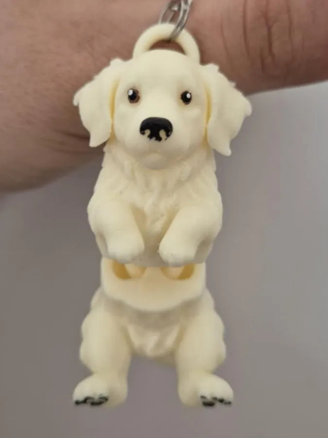 Golden Retriever Anahtarlık – Mafsallı evcil hayvan dostu
